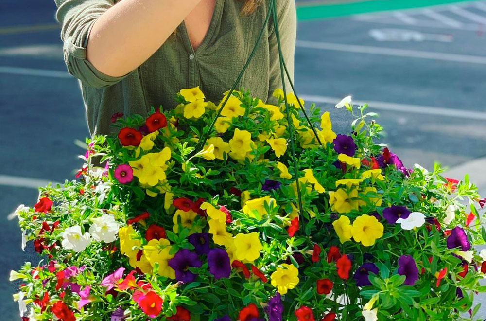 flowers from the flower lady