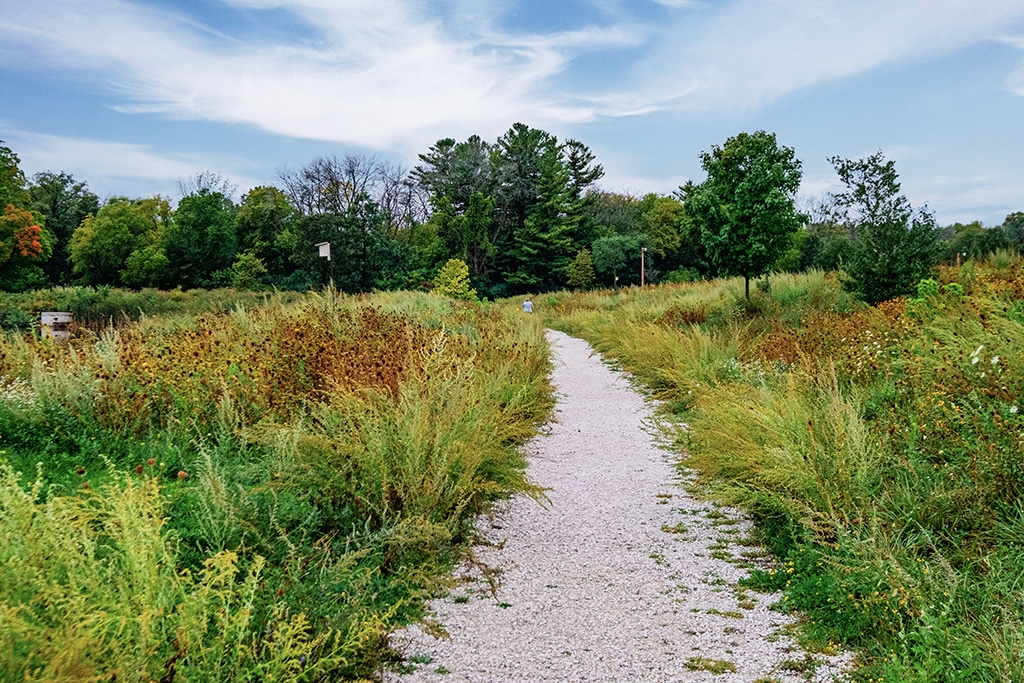 Trail in Wauwatosa