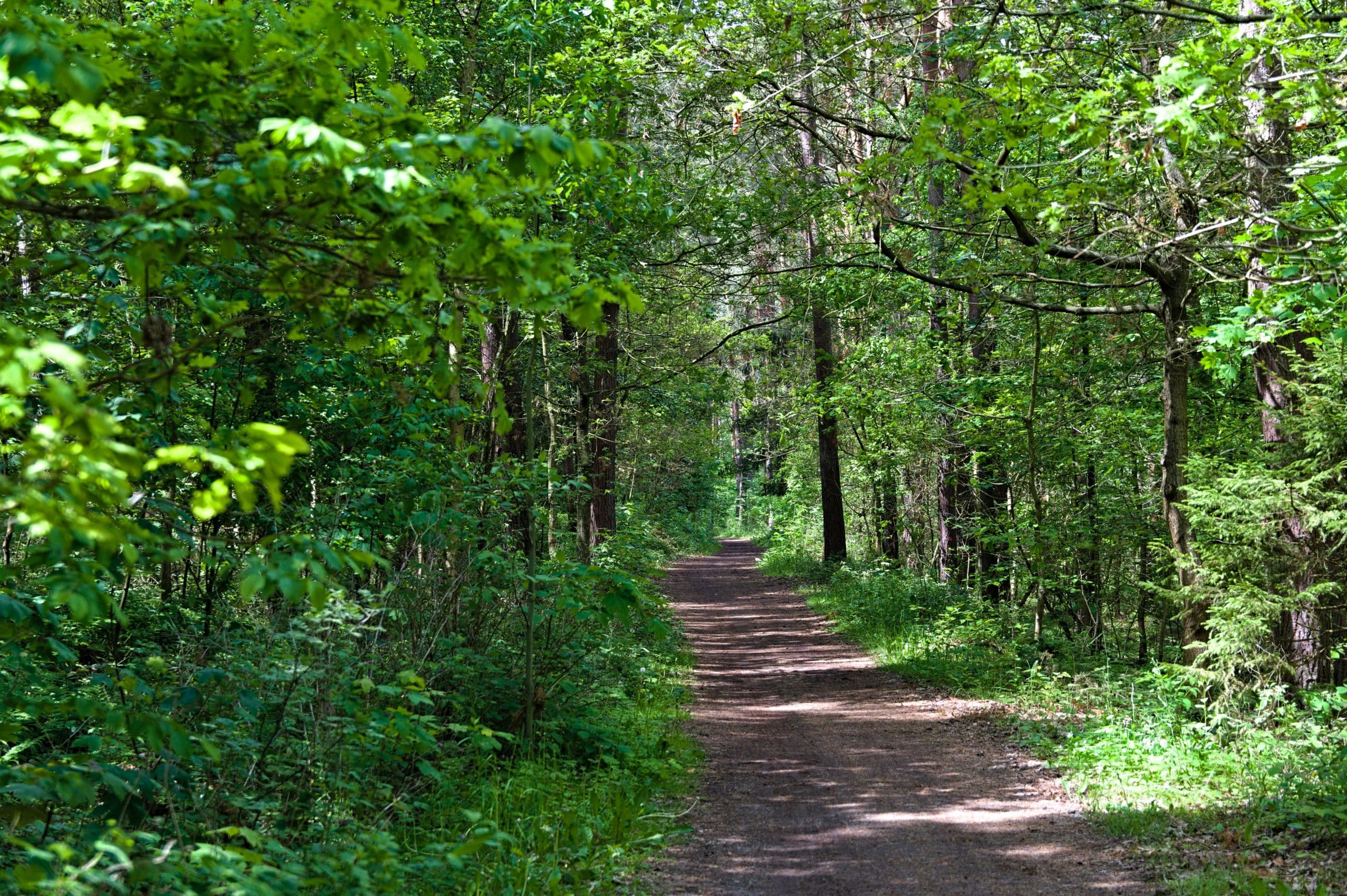 Wisconsin Avenue Park